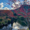 銚子川付近 観光スポット 種まき権兵衛の里 秋の風景