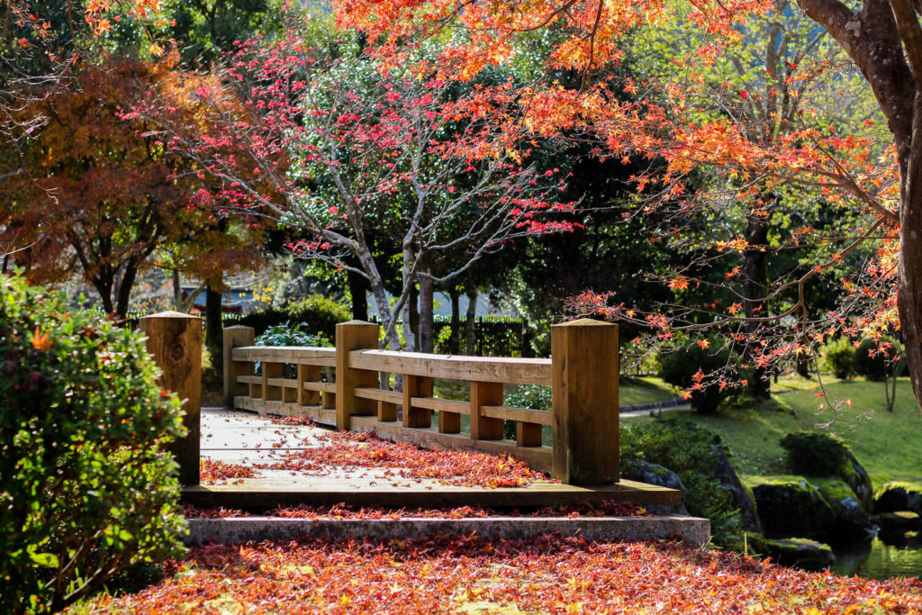 銚子川付近 観光スポット 種まき権兵衛の里 秋の風景2