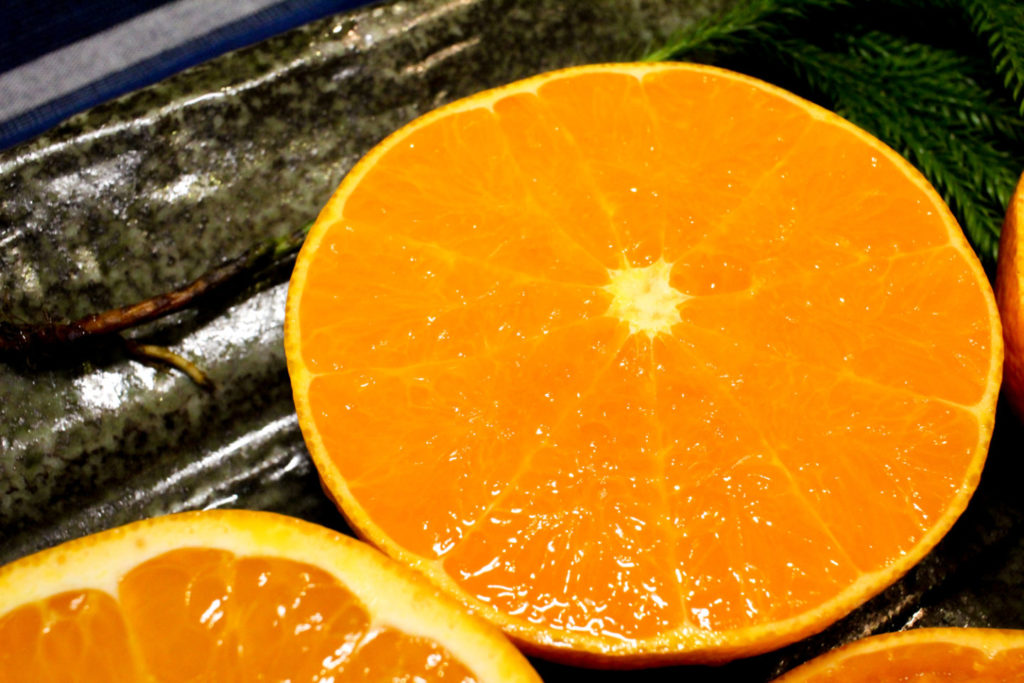 南伊勢町産のみかん刺盛りに心を奪われる 気ままに三重エッセイvol.3