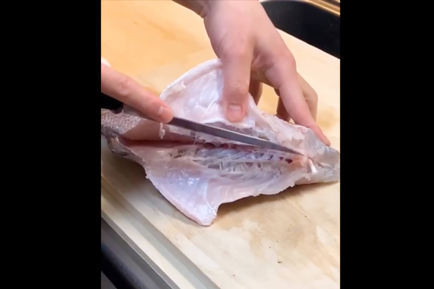 「鯛の手毬寿司づくり インスタLIVE」A12