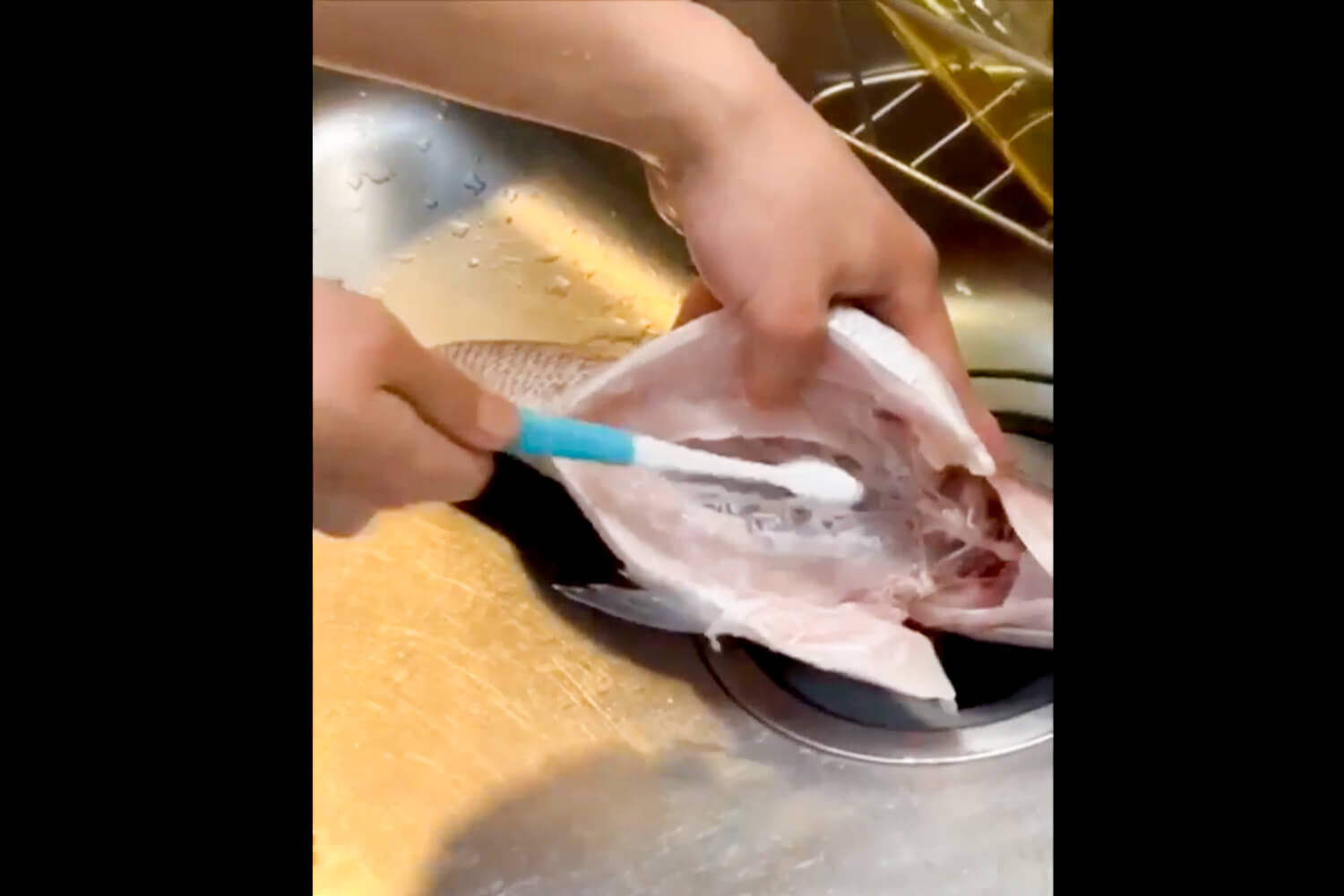「鯛の手毬寿司づくり インスタLIVE」A9