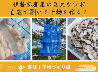 伊勢志摩産の巨大ウツボを 自宅で捌いて干物を作るぞ 受取 魚捌き編