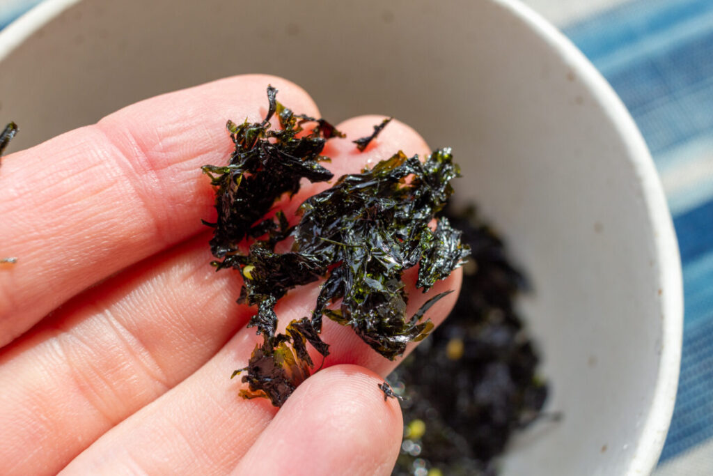 伊勢みぞれ海苔の質感(パラパラ感が分かる写真)